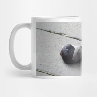 Majestic pigeon resting Mug